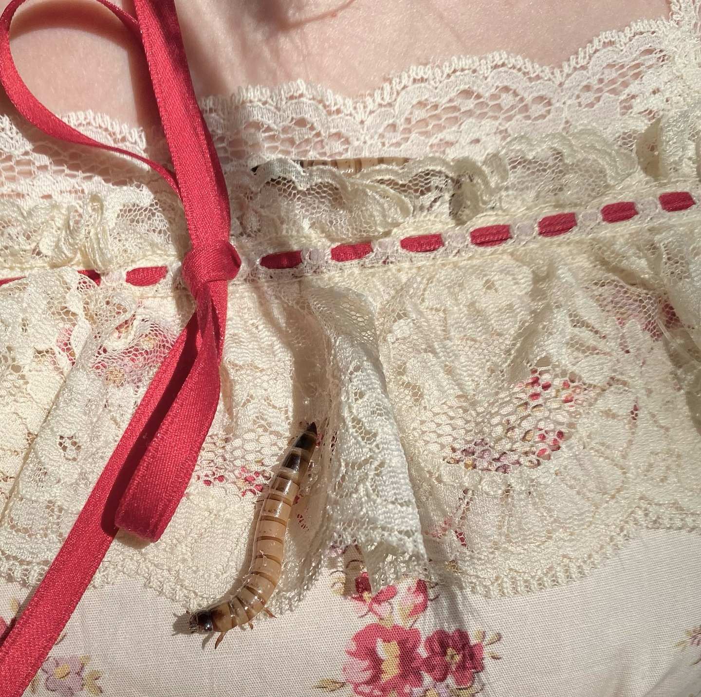 Lace and ribbon close-up detail